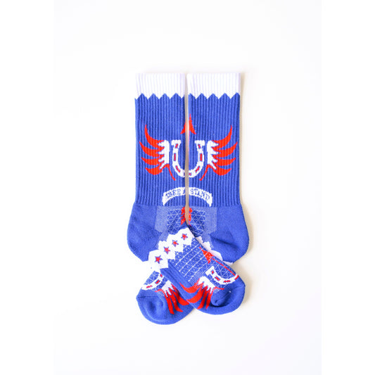 Take A Stand/ America Performance Boot Socks